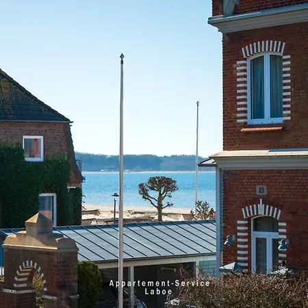 Koralle Laboe