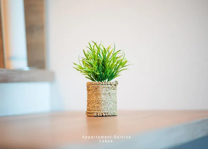 Koralle Apartamento