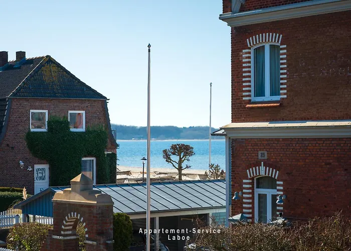 Koralle Laboe